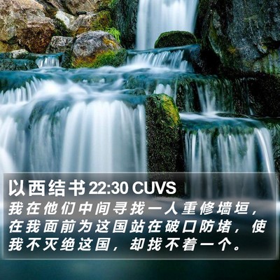 以 西 结 书 22:30 CUVS Bible Verse Image