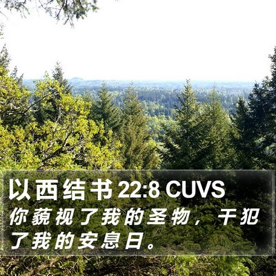 以 西 结 书 22:8 CUVS Bible Verse Image