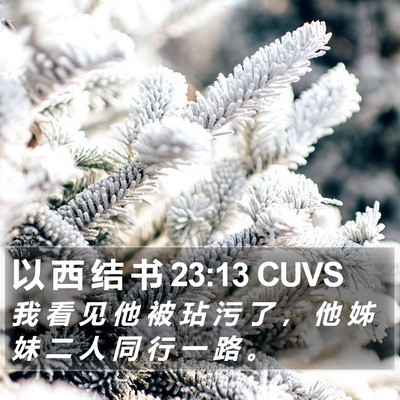 以 西 结 书 23:13 CUVS Bible Verse Image