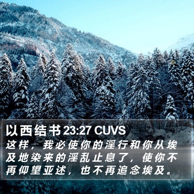 以 西 结 书 23:27 CUVS Bible Verse Image
