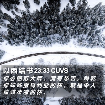 以 西 结 书 23:33 CUVS Bible Verse Image