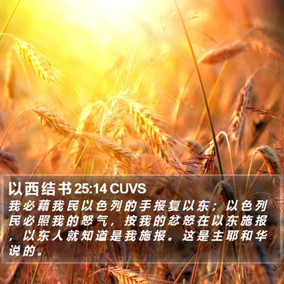 以 西 结 书 25:14 CUVS Bible Verse Image