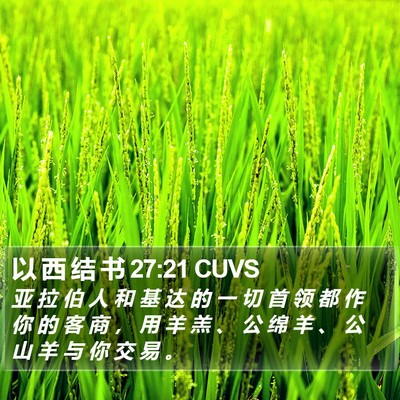 以 西 结 书 27:21 CUVS Bible Verse Image