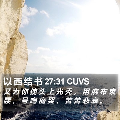 以 西 结 书 27:31 CUVS Bible Verse Image