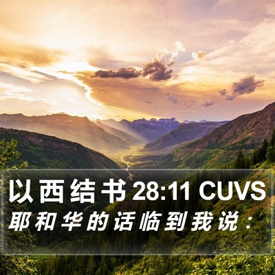 以 西 结 书 28:11 CUVS Bible Verse Image