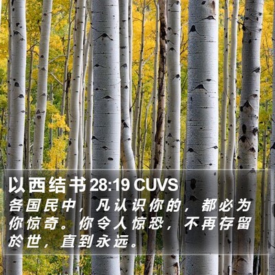 以 西 结 书 28:19 CUVS Bible Verse Image
