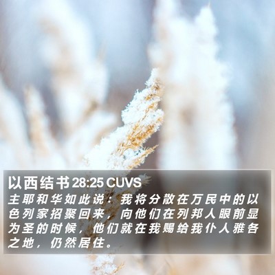 以 西 结 书 28:25 CUVS Bible Verse Image