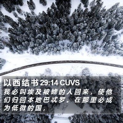 以 西 结 书 29:14 CUVS Bible Verse Image
