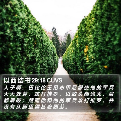以 西 结 书 29:18 CUVS Bible Verse Image