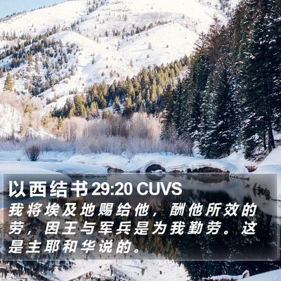 以 西 结 书 29:20 CUVS Bible Verse Image