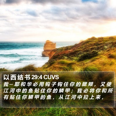 以 西 结 书 29:4 CUVS Bible Verse Image