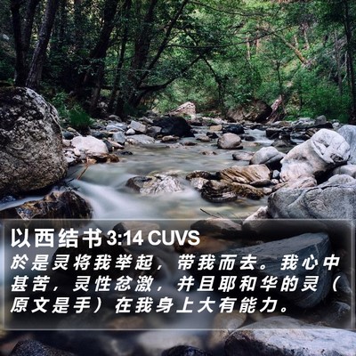 以 西 结 书 3:14 CUVS Bible Verse Image