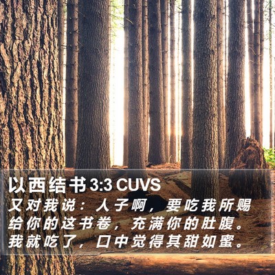 以 西 结 书 3:3 CUVS Bible Verse Image