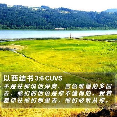 以 西 结 书 3:6 CUVS Bible Verse Image
