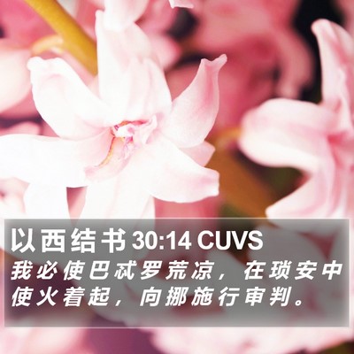 以 西 结 书 30:14 CUVS Bible Verse Image