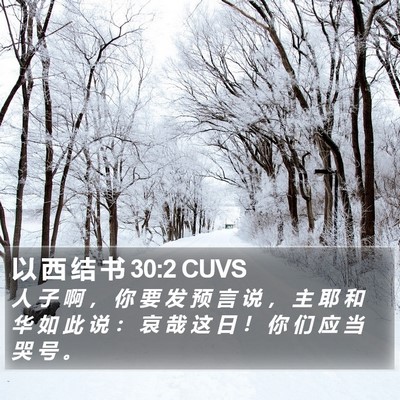 以 西 结 书 30:2 CUVS Bible Verse Image