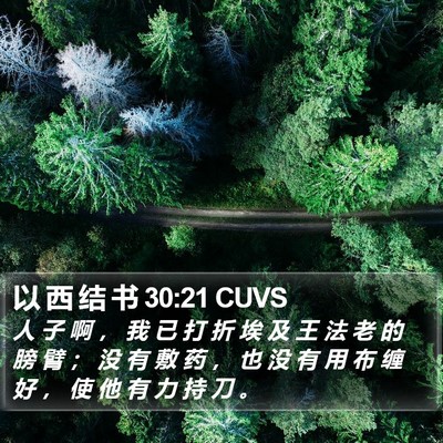 以 西 结 书 30:21 CUVS Bible Verse Image