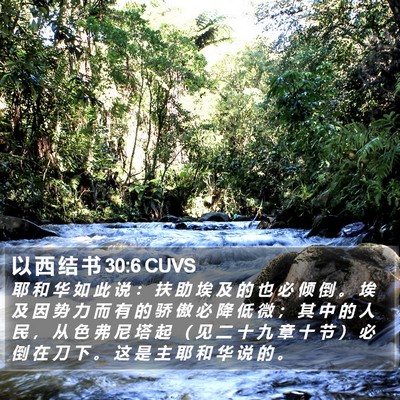 以 西 结 书 30:6 CUVS Bible Verse Image