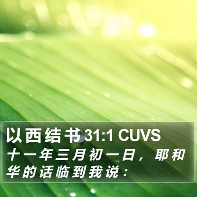 以 西 结 书 31:1 CUVS Bible Verse Image
