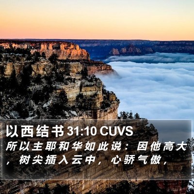 以 西 结 书 31:10 CUVS Bible Verse Image