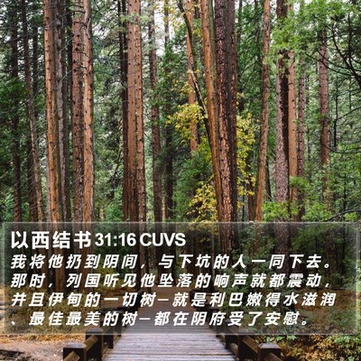 以 西 结 书 31:16 CUVS Bible Verse Image