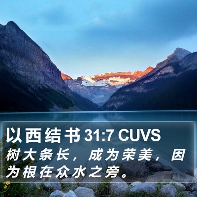 以 西 结 书 31:7 CUVS Bible Verse Image