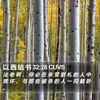 以 西 结 书 32:28 CUVS Bible Verse Image