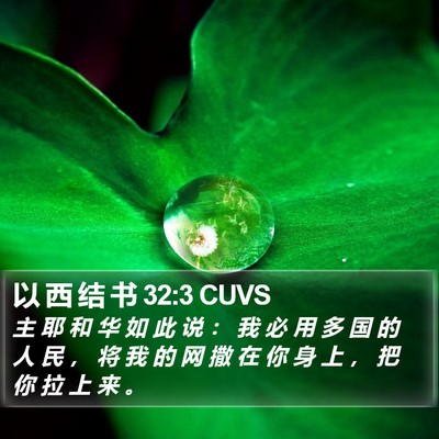 以 西 结 书 32:3 CUVS Bible Verse Image