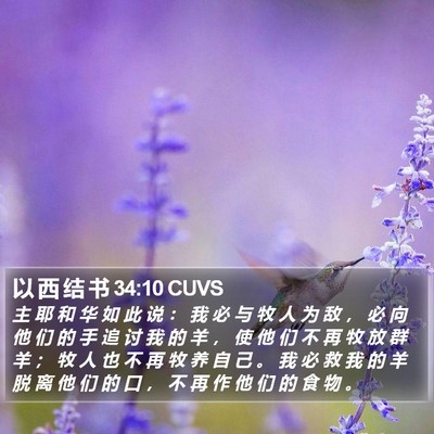 以 西 结 书 34:10 CUVS Bible Verse Image