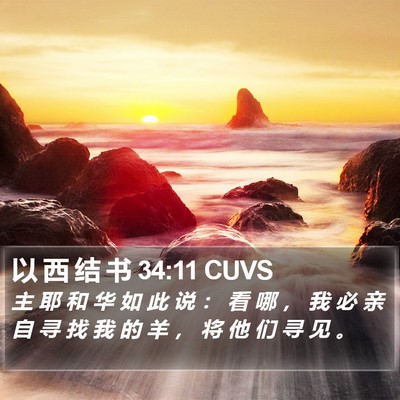以 西 结 书 34:11 CUVS Bible Verse Image