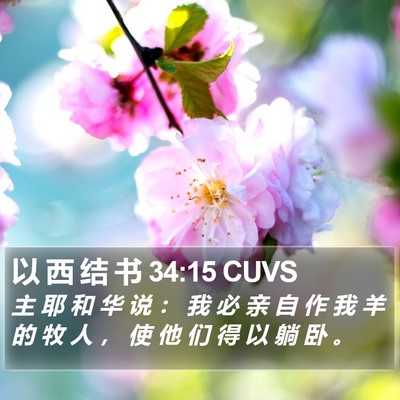 以 西 结 书 34:15 CUVS Bible Verse Image