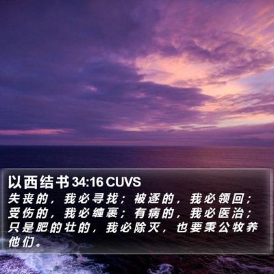 以 西 结 书 34:16 CUVS Bible Verse Image