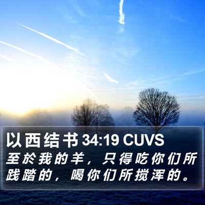 以 西 结 书 34:19 CUVS Bible Verse Image
