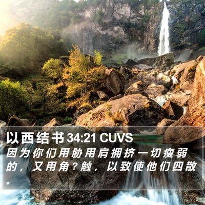 以 西 结 书 34:21 CUVS Bible Verse Image