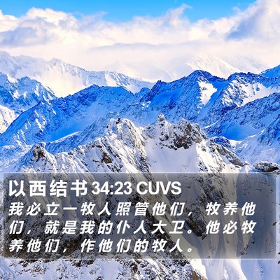 以 西 结 书 34:23 CUVS Bible Verse Image