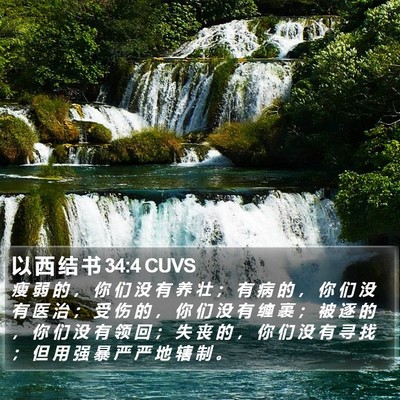 以 西 结 书 34:4 CUVS Bible Verse Image
