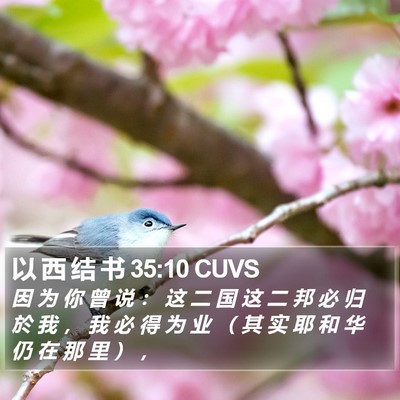 以 西 结 书 35:10 CUVS Bible Verse Image
