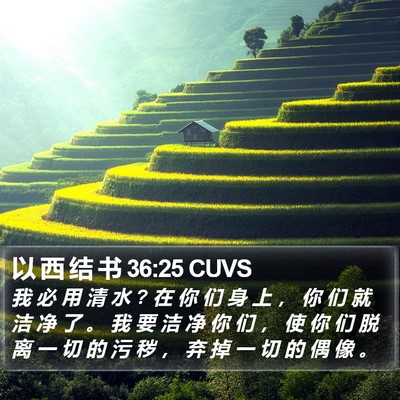 以 西 结 书 36:25 CUVS Bible Verse Image