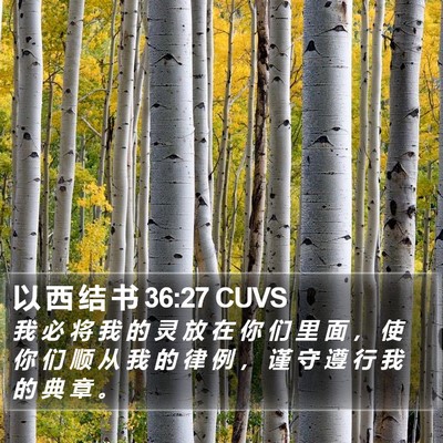 以 西 结 书 36:27 CUVS Bible Verse Image