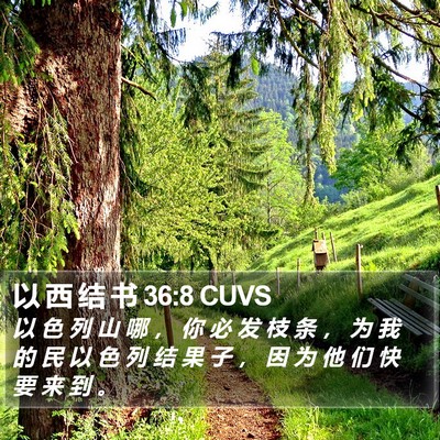 以 西 结 书 36:8 CUVS Bible Verse Image