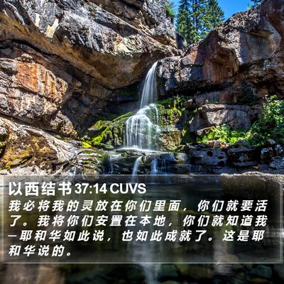 以 西 结 书 37:14 CUVS Bible Verse Image