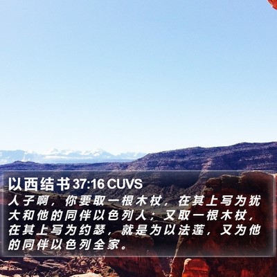 以 西 结 书 37:16 CUVS Bible Verse Image