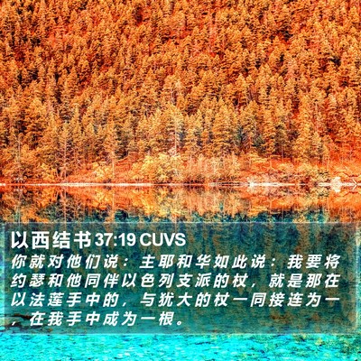以 西 结 书 37:19 CUVS Bible Verse Image