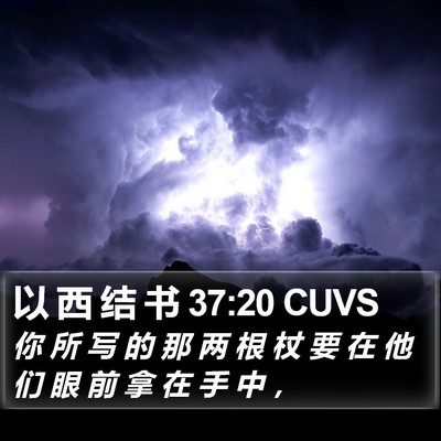 以 西 结 书 37:20 CUVS Bible Verse Image