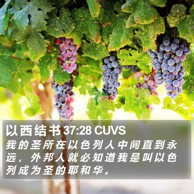 以 西 结 书 37:28 CUVS Bible Verse Image