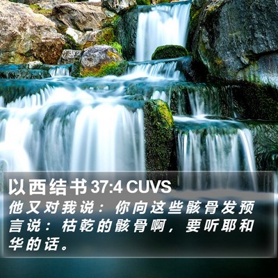 以 西 结 书 37:4 CUVS Bible Verse Image