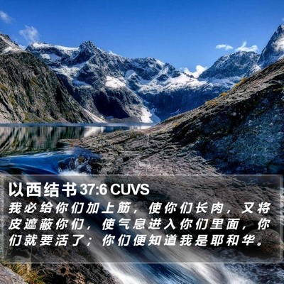 以 西 结 书 37:6 CUVS Bible Verse Image