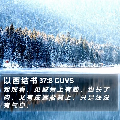 以 西 结 书 37:8 CUVS Bible Verse Image