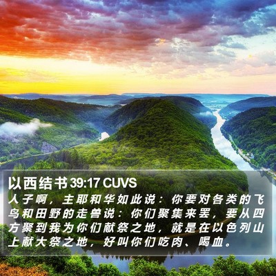 以 西 结 书 39:17 CUVS Bible Verse Image
