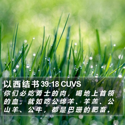 以 西 结 书 39:18 CUVS Bible Verse Image